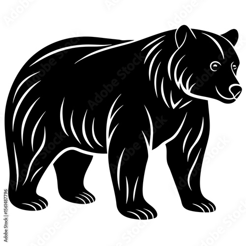 vector illustration of a bear