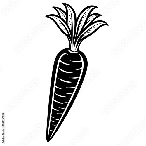 carrots vector illustration