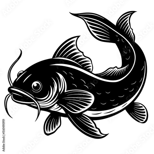 fish on a white background