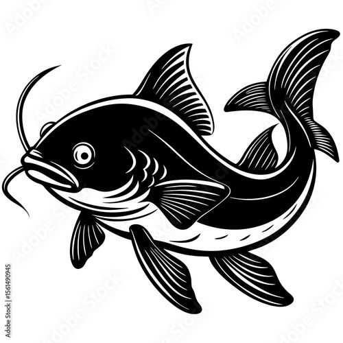 fish on a white background