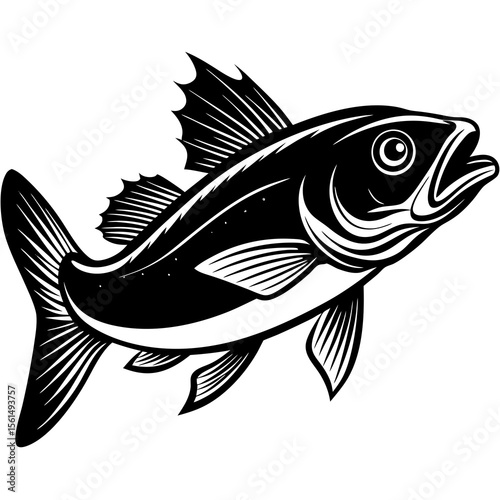 fish vector illustration