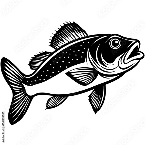 fish vector illustration