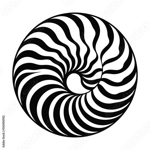 Abstract black and white nautilus shell pattern with swirling lines