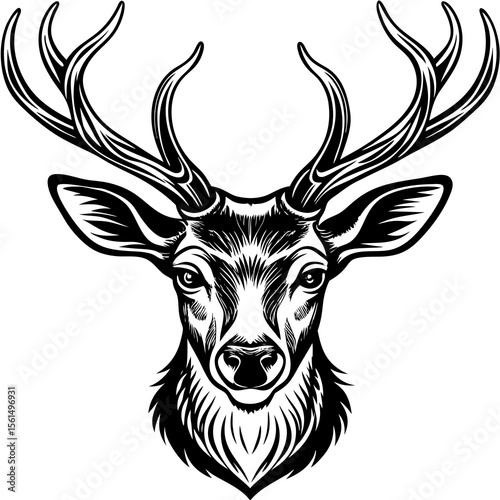 deer head vector