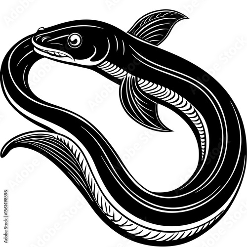 black and white fish