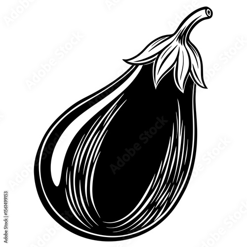onion vector illustration