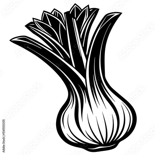 onion isolated on white