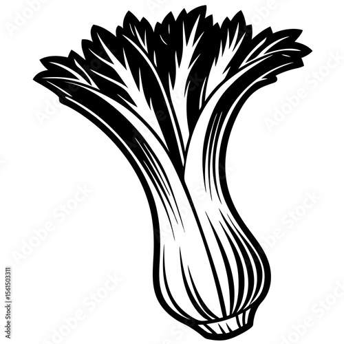 onion isolated on white