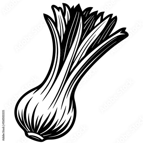 onion isolated on white background