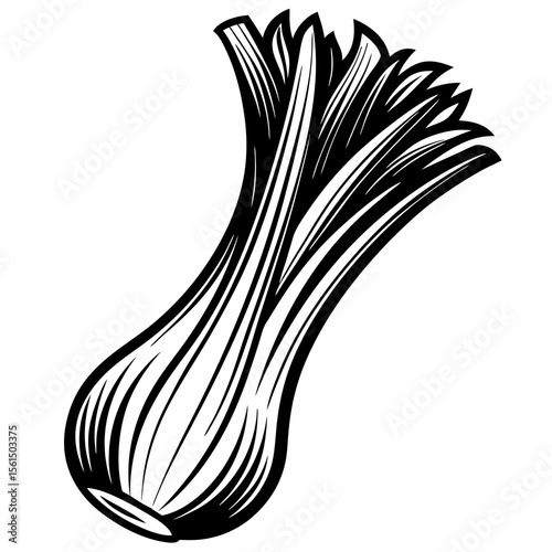 onion isolated on white