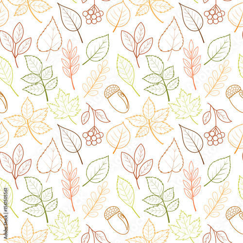 Seamless pattern with hand drawn colorful autumn leaves, berries and acorns, doodles. Collection of maple, oak, birch, rowan, chestnut. Vector pattern of foliage outline.