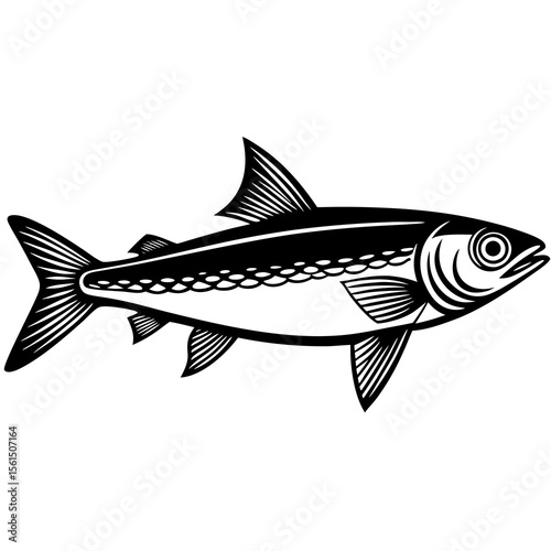 fish vector illustration