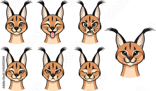 vector illustration of caracal cat funny cute cartoon mascot character cartoon with 7 poses and expressions 