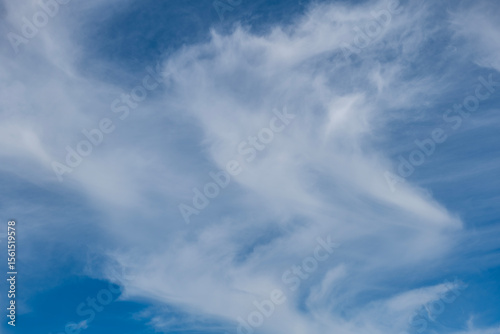 Wallpaper Mural Blue sky and white clouds. Abstract nature background Torontodigital.ca