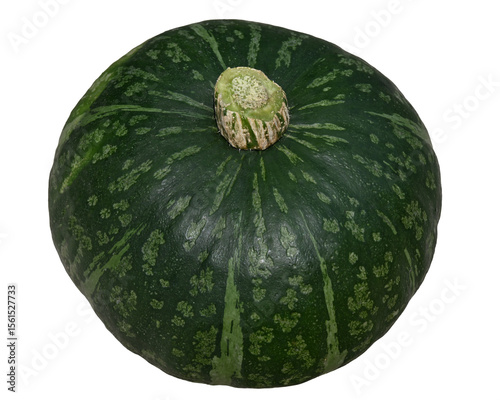 採れたての新鮮な南瓜の画像