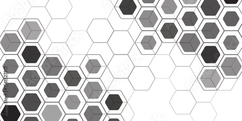 Hexagon, bees hive cells pattern. Bee honey shapes.   Abstract pattern with hexagonal white and gray technology line paper background. Illustration of geometric abstract background with hexagons.