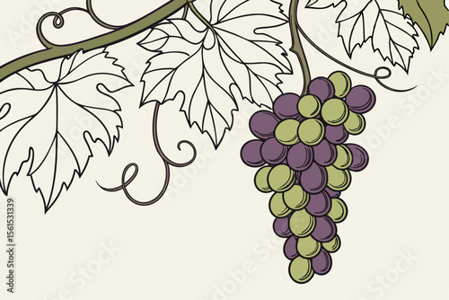 High quality vector illustration of a lush cluster of grapes hanging