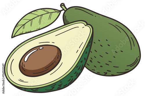 Close up realistic avocado illustration with vibrant colors and detailed texture