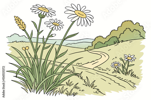 Vibrant cluster of yellow daisies with green stems and leaves in a natural setting