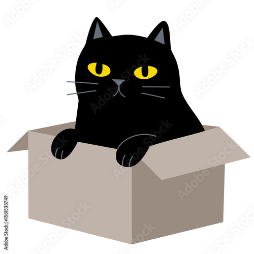 Cartoon cute black cat in the box. Funny domestic animal with happy charming playful expression