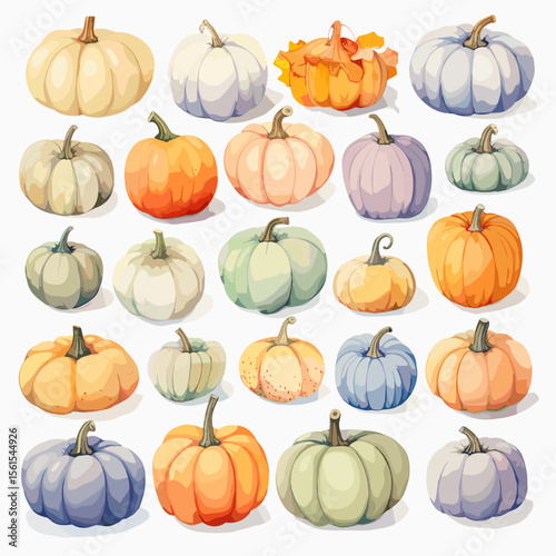 Collection of colorful pumpkins in various shapes and sizes  