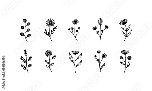 Simple Silhouette Flowers. Black flower silhouettes with full petals and narrow stems, offering contrast and clarity in floral form.