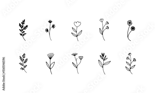 Tall Flower Silhouettes. Bold black silhouettes of tall wildflowers with expressive leaf shapes and layered heights.