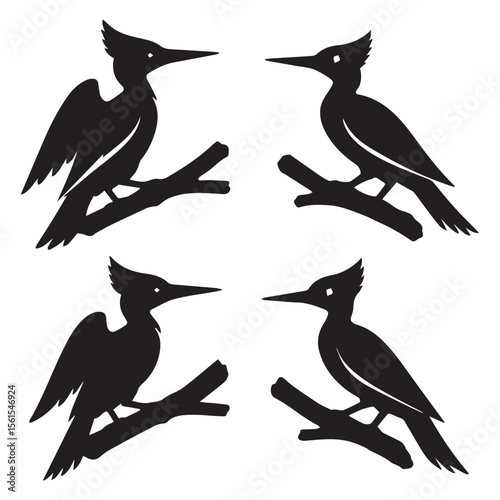 Elegant silhouette of an ivory billed woodpecker in flight