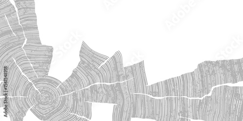 Wood texture frame, wood plank, gray lines on white background, vector design