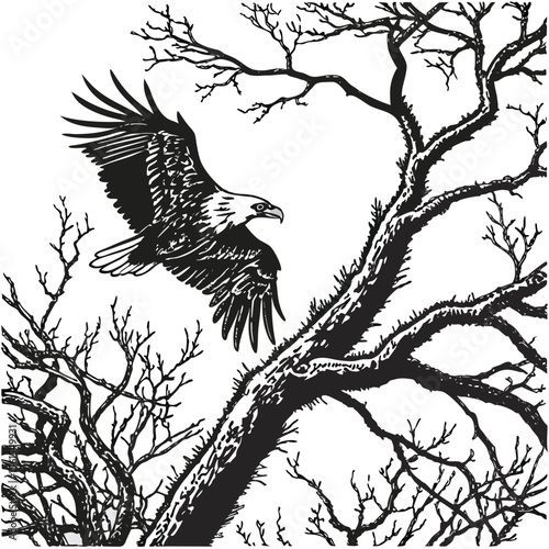 Eagle flying near barren trees with outstretched wings in a black and white vector illustration