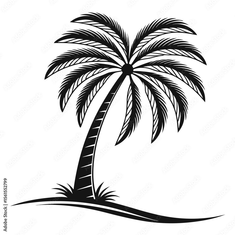 Obraz premium Black and white palm tree silhouette with detailed leaves and beachy coastal vibe