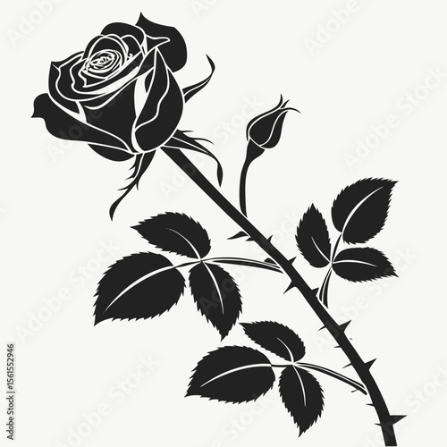 Elegant black and white rose silhouette with thorns and bud on white background