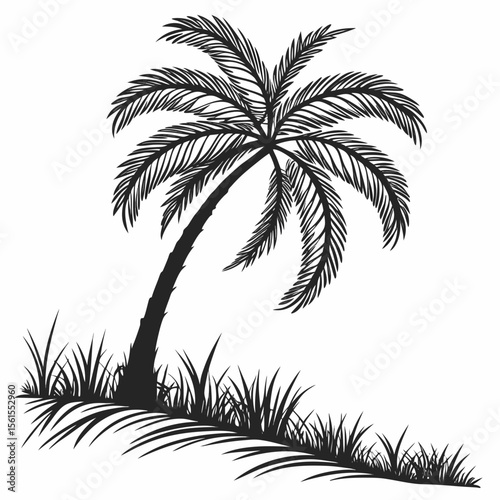 Elegant black and white silhouette illustration of a palm tree and grass on white background