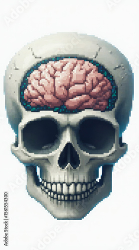 Transparent Skull with Brain — Detailed 3D Medical Visualization of Human Skull and Brain Anatomy