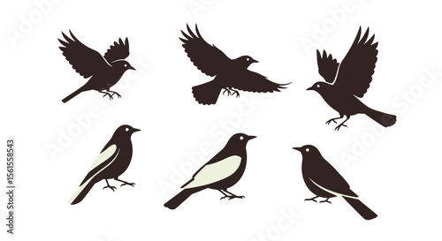 Birds in different poses and angles, black silhouettes on white background  