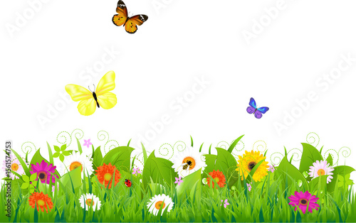 spring flowers and butterflies png