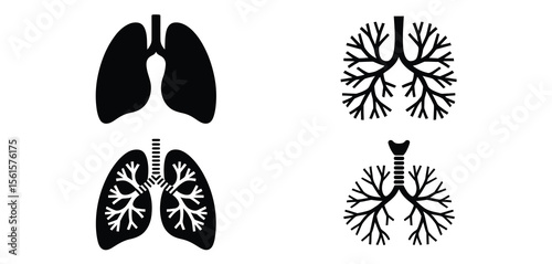 Human Lungs and Bronchial Tubes Anatomy Diagram