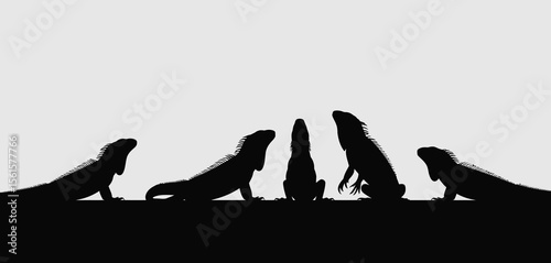 Silhouette of Four Iguanas Looking Up