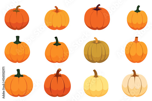 Pumpkin set. Set of pumpkins of different colors and shapes for design. Vector illustration collection of ripe pumpkins for design and printing. Autumn harvest.
