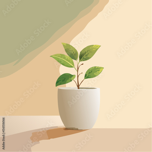 single plant in a pot on a clean surface with soft shadows