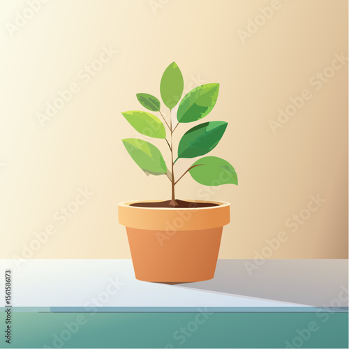 single plant in a pot on a clean surface with soft shadows