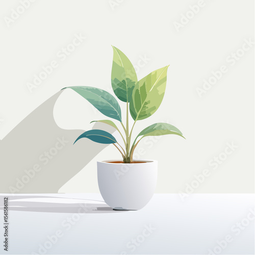 single plant in a pot on a clean surface with soft shadows