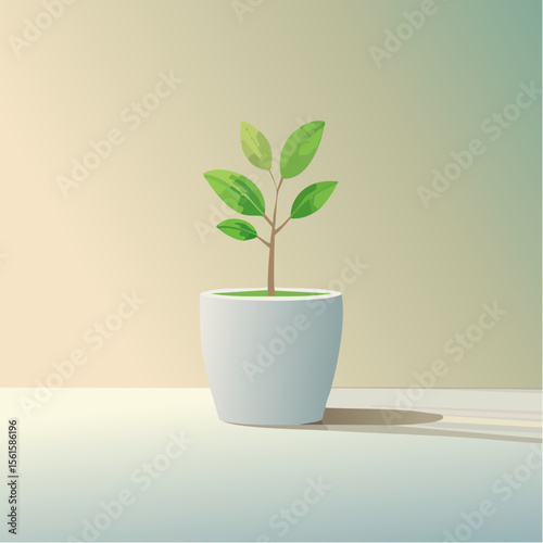 single plant in a pot on a clean surface with soft shadows