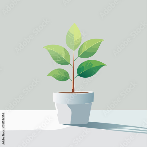 single plant in a pot on a clean surface with soft shadows