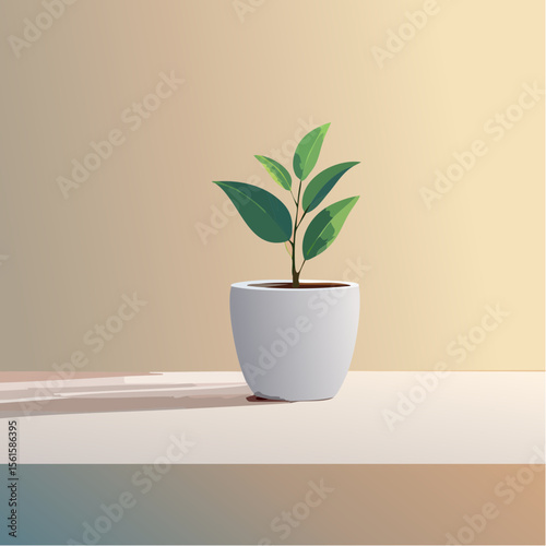 single plant in a pot on a clean surface with soft shadows