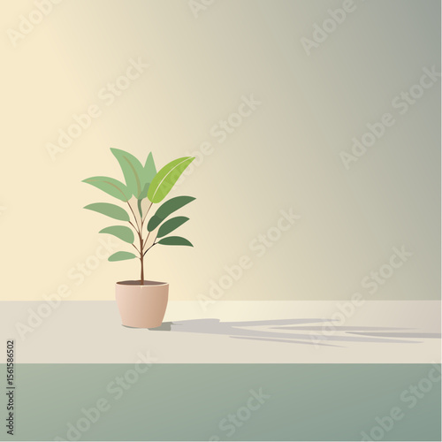 single plant in a pot on a clean surface with soft shadows
