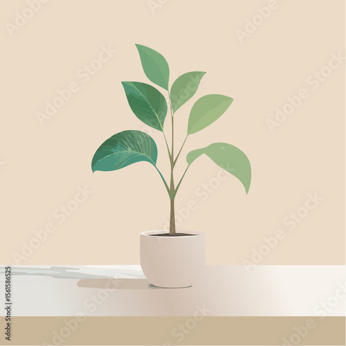 single plant in a pot on a clean surface with soft shadows