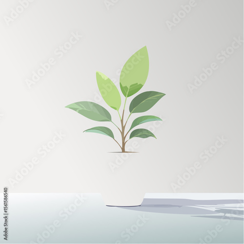 single plant in a pot on a clean surface with soft shadows