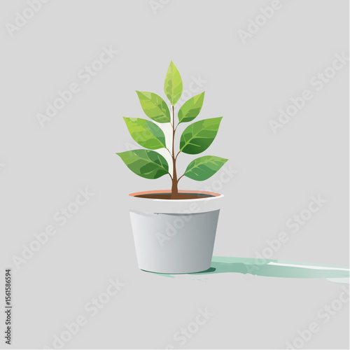 single plant in a pot on a clean surface with soft shadows