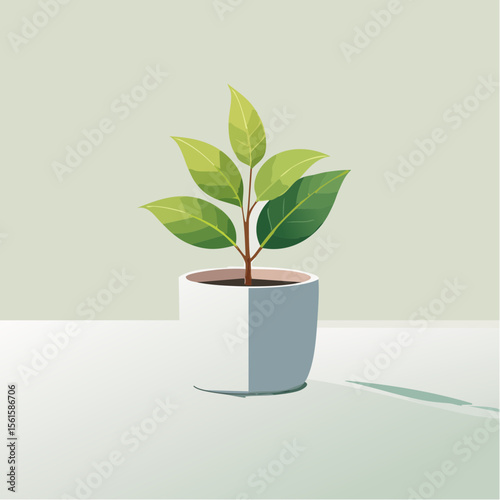 single plant in a pot on a clean surface with soft shadows